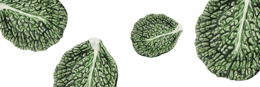 barbotine feuille de chou