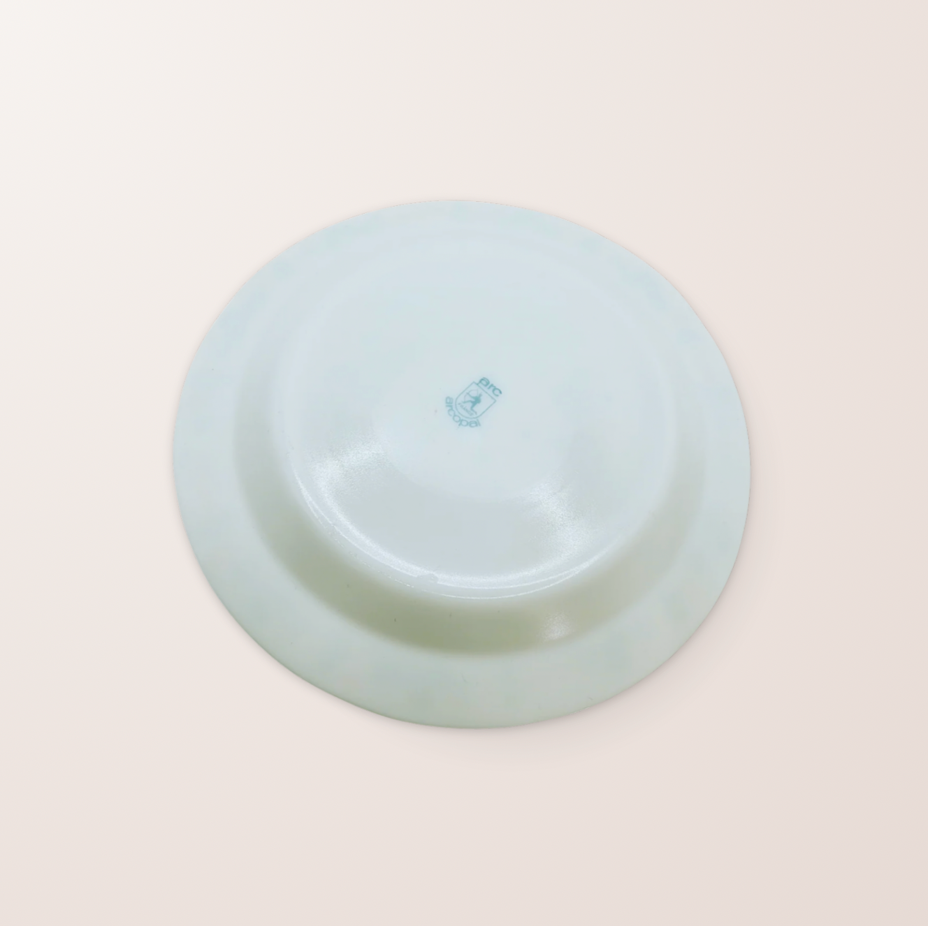 Assiette Arcopal Reka – Motif fleuri vintage